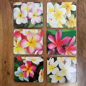 6x Tropical Frangipani Coasters